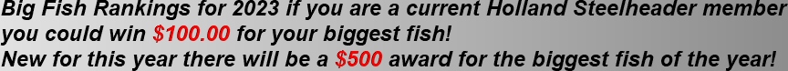 big fish