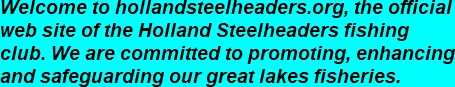 welcome to holland steelheaders